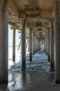 Huntington Beach Pier from Below Photograph by Ana V Ramirez