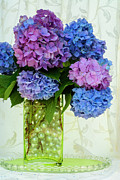 Hydrangeas and Pearls Photograph by Carole Gordon