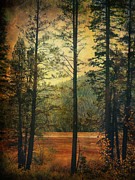 I Don't Know What to Believe In Photograph by Laurie Search I Don't Know What to Believe In Photograph by Laurie Search