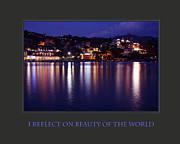 I Reflect On Beauty Of The World Photograph by Donna Corless