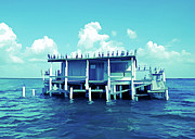 Ice Cold No Vacancy at the Stilt House Photograph by Aimee L Maher ALM GALLERY