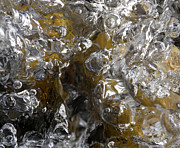 Ice Life Photograph by Sami Tiainen