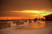 Iced Sunset Photograph by Cate Franklyn