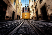 Icon Photograph by Jorge Maia