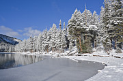 Icy Photograph by Kelley King