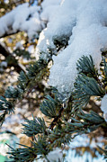 Icy Melt Photograph by Denise Harty