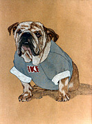 Ike the Bulldog Drawing by Terri Mills