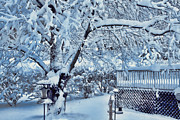 In a Snowy Dream Photograph by Mike Smale