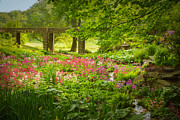 In Heaven's Dell Photograph by Marilyn Cornwell