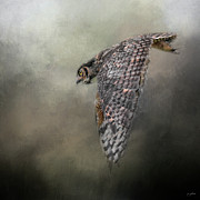 In Pursuit Photograph by Jai Johnson