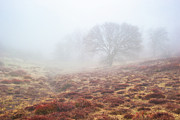 In the clouds Photograph by Alexander Kunz
