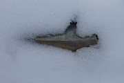 In the Deep Photograph by Sue Capuano