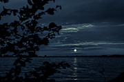 In The Evening At The Lake Photograph by Andreas Levi
