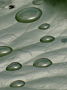 In the rain Photograph by Karin Ravasio