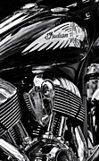 Indian Chieftain Photograph by Tim Gainey