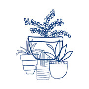 Indigo Potted Succulents- Art by Linda Woods Mixed Media by Linda Woods