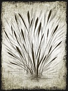 Ink Grass Drawing by Ivana Westin