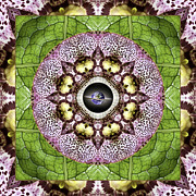 Inner Compass Photograph by Bell And Todd