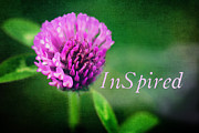 Inspirational Wall Art Print Photograph by Gwen Gibson