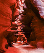 Into The Maze Photograph by Scott Read