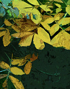 Into the Woods Digital Art by Gina Harrison