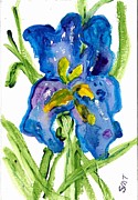 Iris - 1 Painting by Stacey Torres