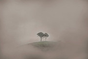 Isolation Photograph by Az Jackson