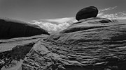 Jabba Photograph by Skip Hunt
