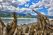 Jackson Lake Photograph by Flat Owl Photo