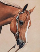 James Pastel by Joni Beinborn