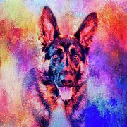 Jazzy German Shepherd Colorful Dog Art by Jai Johnson Mixed Media by Jai Johnson