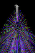 Jekyll Christmas Tree, Jekyll Island, Georgia Photograph by Dawna Moore Photography