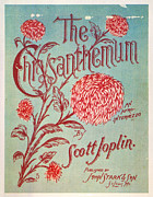 Joplin: Chrysanthemum Photograph by Granger Joplin: Chrysanthemum Photograph by Granger
