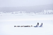 Joy Ride Photograph by Evelina Kremsdorf