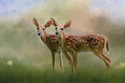 Joy Times Two Deer Art Photograph by Jai Johnson