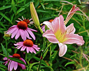July Lily #10 Photograph by Janis Senungetuk