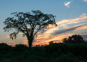 July Sunset  Photograph by Holden The Moment