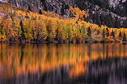 June Lake Photograph by Francesco Emanuele Carucci