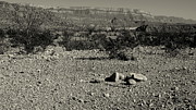 Just a Pile of Rocks - Question Photograph by Karen Musick