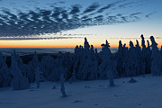 Just before sunrise on the Brocken in the Harz Mountains Photograph by Andreas Levi