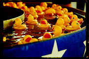 Just Ducky Photograph by Toni Hopper