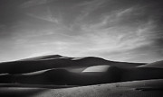 Just Tryin' to Find Some Peace Photograph by Laurie Search