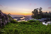 Kalaloch Creek Sunset Photograph by Michael Tidwell
