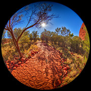 Kata Tjuta Walk Photograph by Chris Cousins