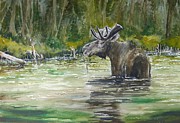 Kayaker Surprise Painting by Bev Morgan