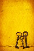 Key Family Photograph by Priska Wettstein