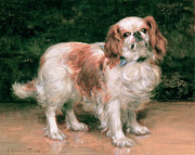 King Charles Spaniel Painting by George Sheridan Knowles