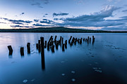 Knee Deep Photograph by Todd Wilkinson Knee Deep Photograph by Todd Wilkinson