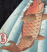 Koi Carp Painting by Japanese School Koi Carp Painting by Japanese School