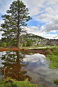 Kolob Reflection Photograph by Ray Mathis